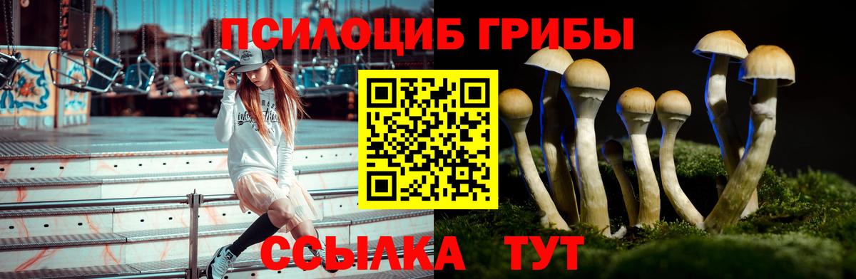 Иркутск  Псилоцибиновые грибы мухоморы  даркнет сайт  Вход с VPN 